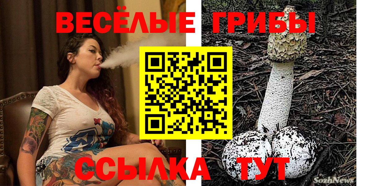 Новотроицк  Псилоцибиновые грибы Psilocybine cubensis  Вход с VPN  Псилоцибиновые грибы ЛСД 